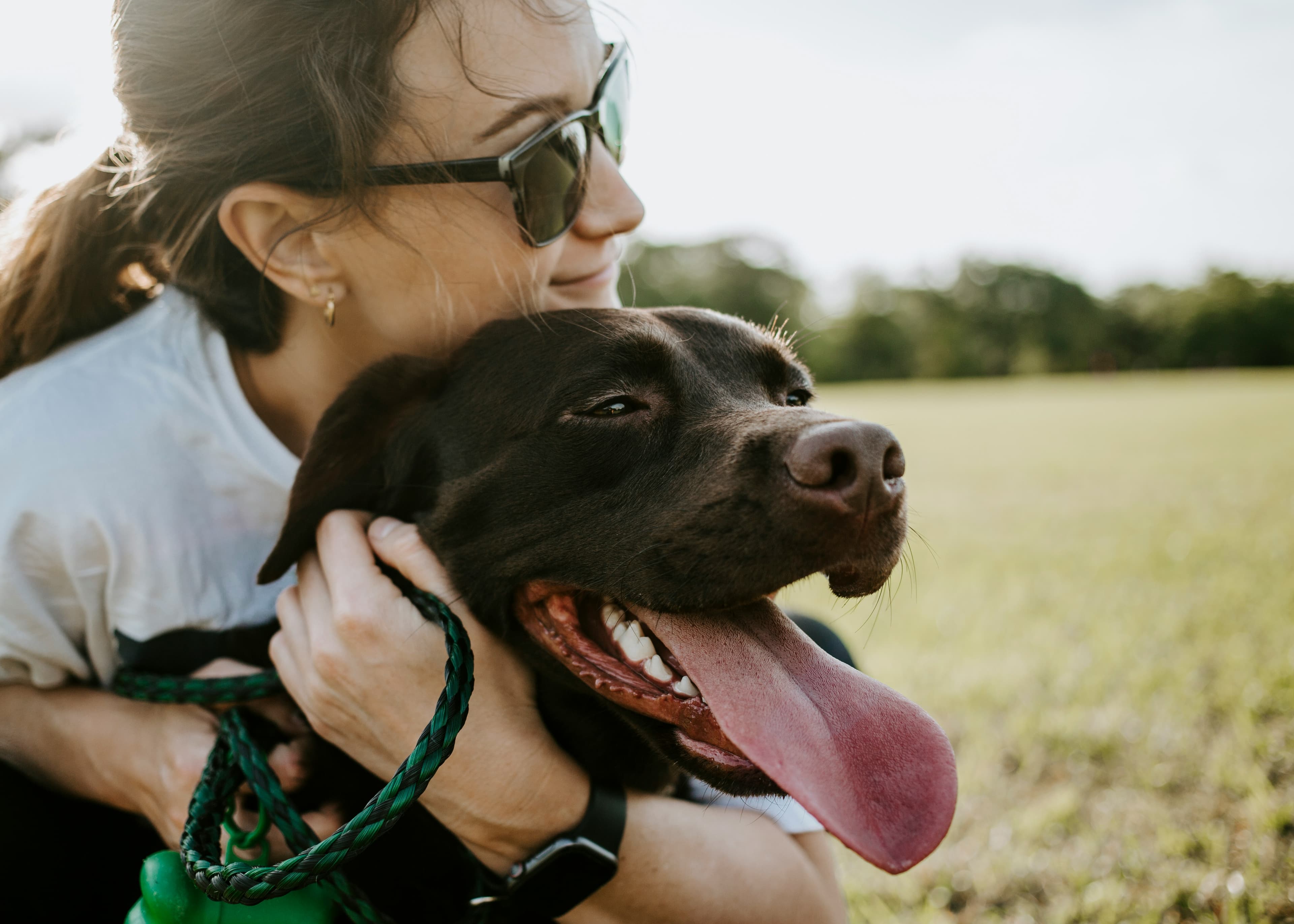 Dog training management dashboard